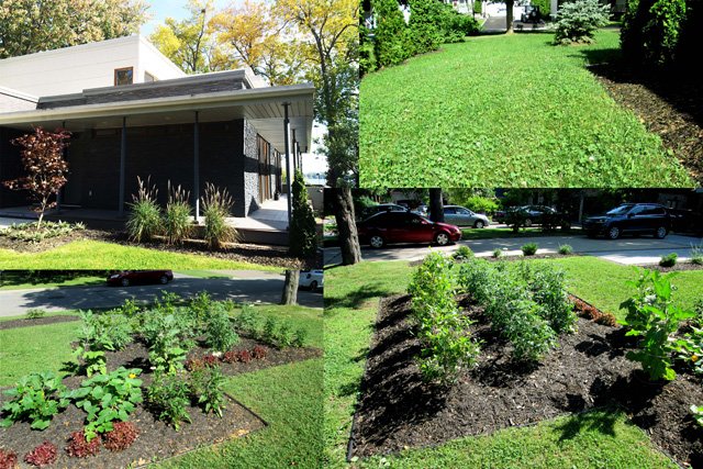 Aménagement paysager exemplaire