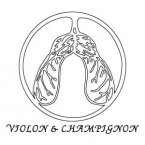 Violon et champignon