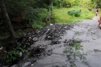 Contrôle de l’érosion