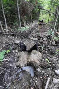 Contrôle de l’érosion