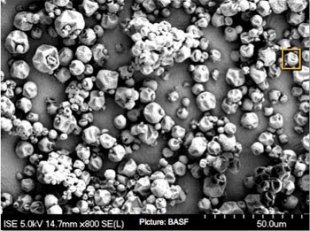 Microbilles de paraffine