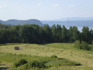 Agriculture biologique à l'écohameau
