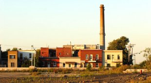 friche urbaine